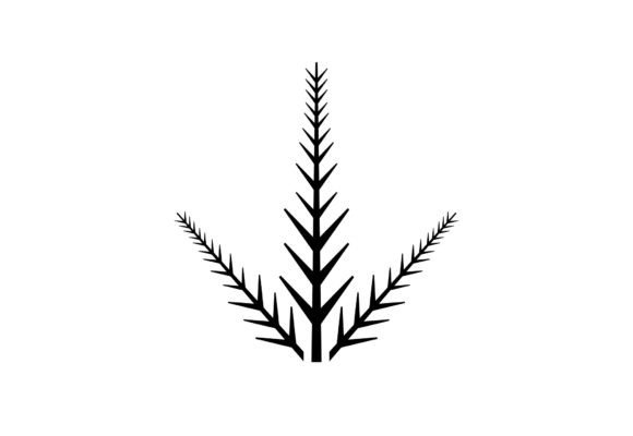 Fir Branch Christmas Vector SVG for Editorial and Web Design