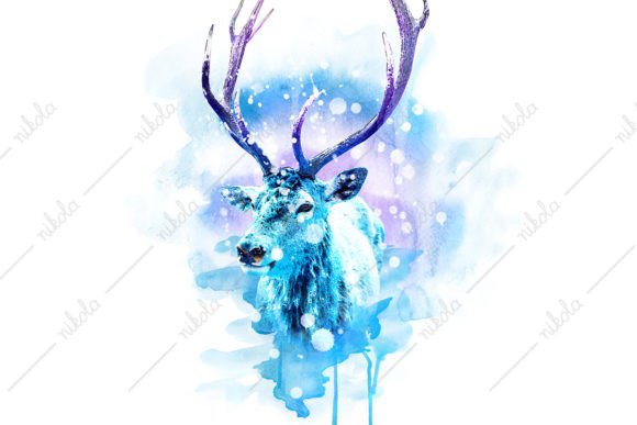 Reindeer Watercolor Christmas Illustration Review